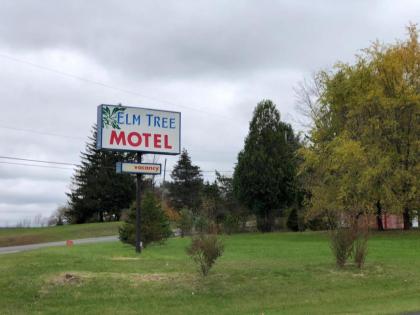 Elm Tree Motel - image 13