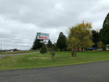 Elm Tree Motel - image 14