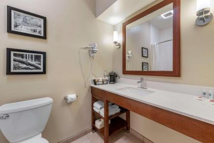 Comfort Inn Crawfordsville - image 11