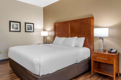 Comfort Inn Crawfordsville - image 9