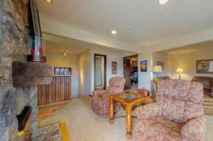 Beautiful Mountain View Condo - image 3