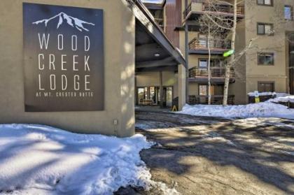 Cozy Crested Butte Condo   Walk to Ski Lift Colorado