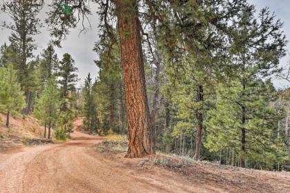 A-Frame Cabin with Mtn Views - 4 Mi to Cripple Creek! - image 8