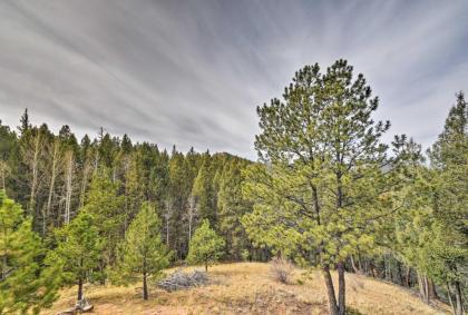 A-Frame Cabin with Mtn Views - 4 Mi to Cripple Creek! - image 9