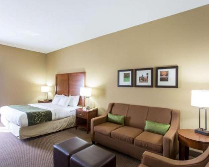 Comfort Suites - image 11