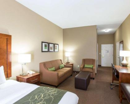 Comfort Suites - image 4