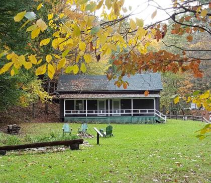 The Cabins at Healing Springs - image 5