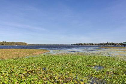 Lake Rousseau House with Dock - 1 Mile to Boat Ramp! - image 11