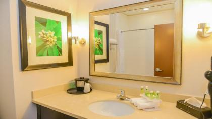 Holiday Inn Express Hotels & Suites Cuero an IHG Hotel - image 7