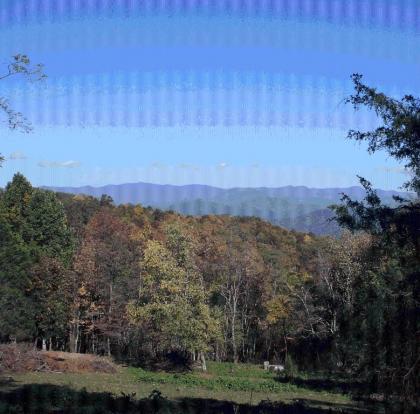 Arrowmont Stables & Cabins - image 1