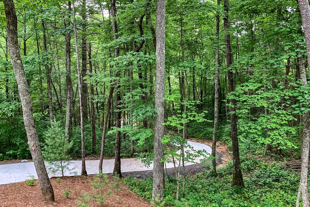 Cashiers Mountain Cabin Nestled on Taylor Creek! - image 4