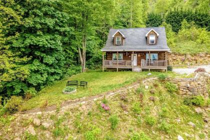 Twin Bear Cabin - image 3