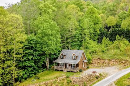 Twin Bear Cabin - image 4