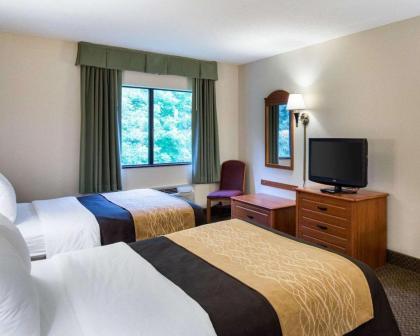 Comfort Inn & Suites - LaVale - Cumberland - image 9