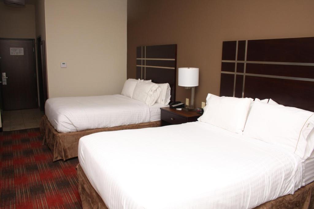 Holiday Inn Express & Suites La Vale/Cumberland an IHG Hotel - image 2