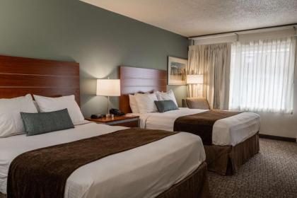 Best Western Buffalo Ridge Inn Near Mt Rushmore - image 12