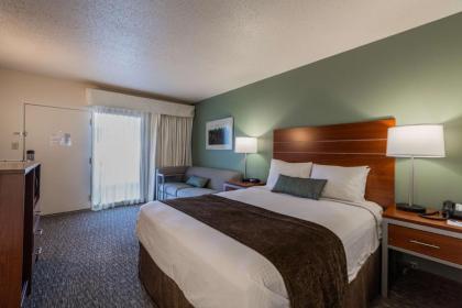 Best Western Buffalo Ridge Inn Near Mt Rushmore - image 14