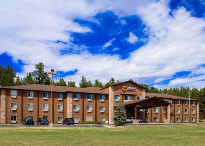 Comfort Inn & Suites Near Custer State Park and Mt Rushmore - image 2