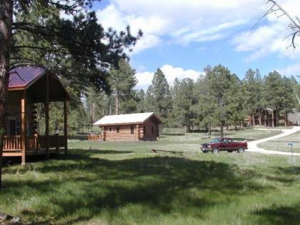 Renegade Log Cabin - image 2