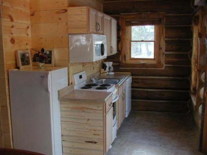 Renegade Log Cabin - image 8