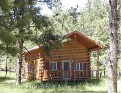 Holiday homes in Custer South Dakota