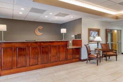 Comfort Inn & Suites - image 4