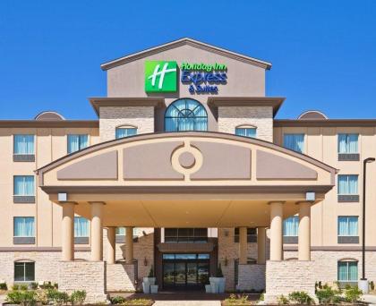 Holiday Inn Express & Suites Dallas Fair Park - image 2