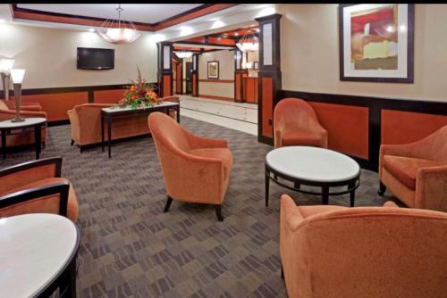 Comfort Inn & Suites Dallas Medical-Market Center - image 3