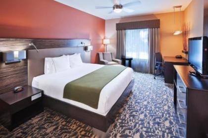 Holiday Inn Express & Suites North Dallas at Preston an IHG Hotel - image 2