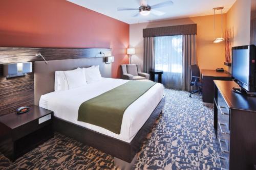 Holiday Inn Express & Suites North Dallas at Preston an IHG Hotel - image 2