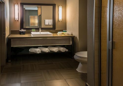 Holiday Inn Express & Suites North Dallas at Preston an IHG Hotel - image 4