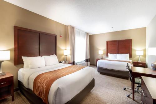 Comfort Inn & Suites Love Field – Dallas Market Center - main image