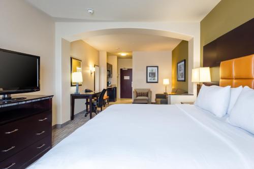 Holiday Inn Express Hotel & Suites Dallas West an IHG Hotel - image 2