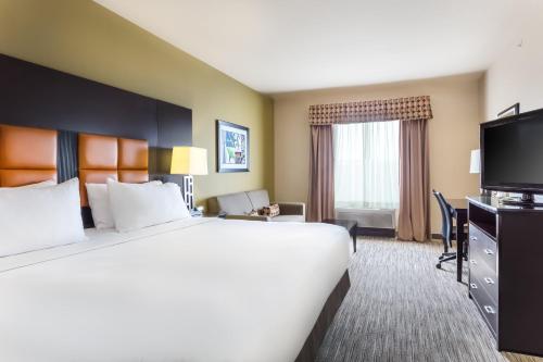 Holiday Inn Express Hotel & Suites Dallas West an IHG Hotel - image 4