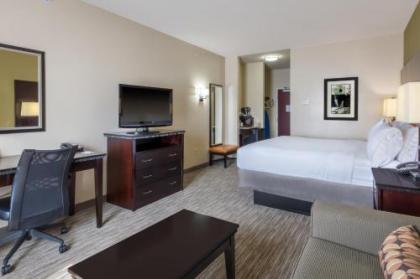 Holiday Inn Express Hotel & Suites Dallas West an IHG Hotel - image 5