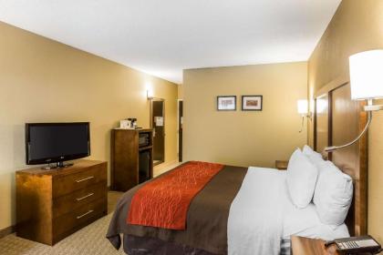 Comfort Inn & Suites Dalton - image 12