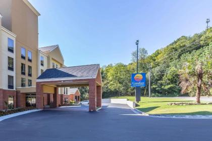 Comfort Inn & Suites Dalton - image 2