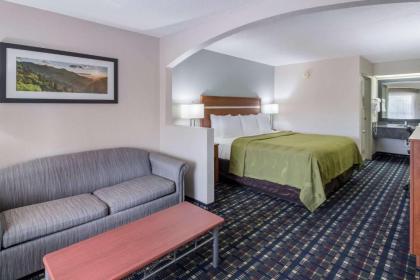 Quality Inn Dandridge - image 14