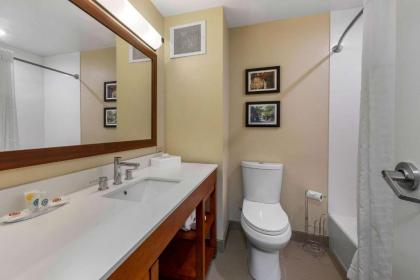 Comfort Inn Danvers- Boston - image 11