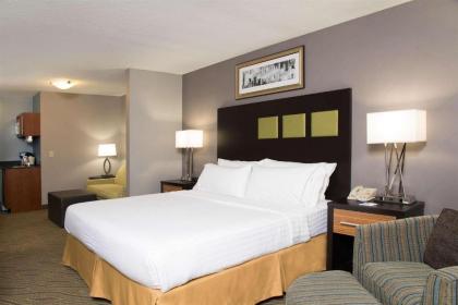 Holiday Inn Express & Suites Danville an IHG Hotel - image 13