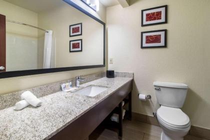 Comfort Suites Danville - image 10