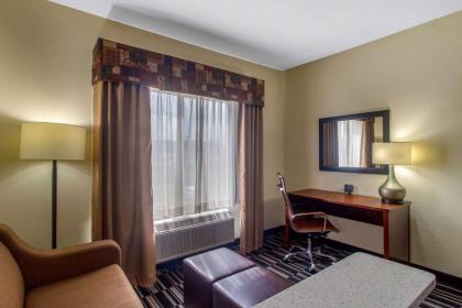 Comfort Suites Danville - image 11