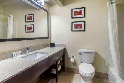 Comfort Suites Danville - image 12