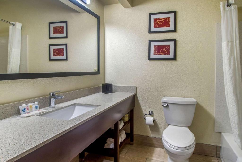 Comfort Suites Danville - image 6