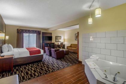 Comfort Suites Danville - image 8