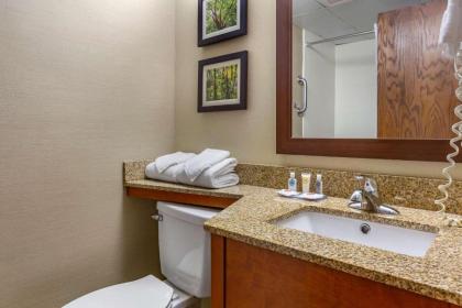 Comfort Inn & Suites near Danville Mall - image 14