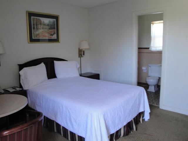 Budget Inn Danville - image 5