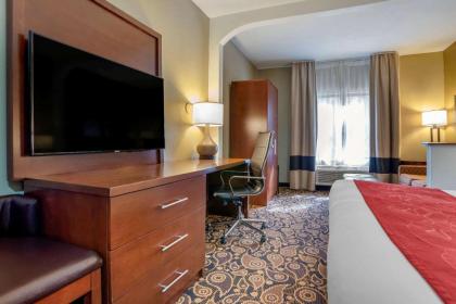 Comfort Suites Mobile East Bay - image 10