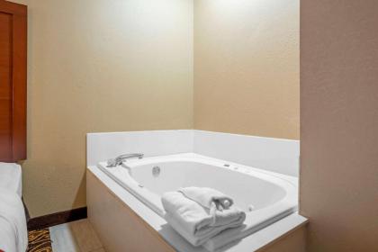 Comfort Suites Mobile East Bay - image 11