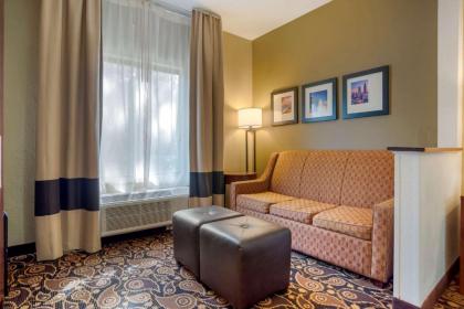 Comfort Suites Mobile East Bay - image 12